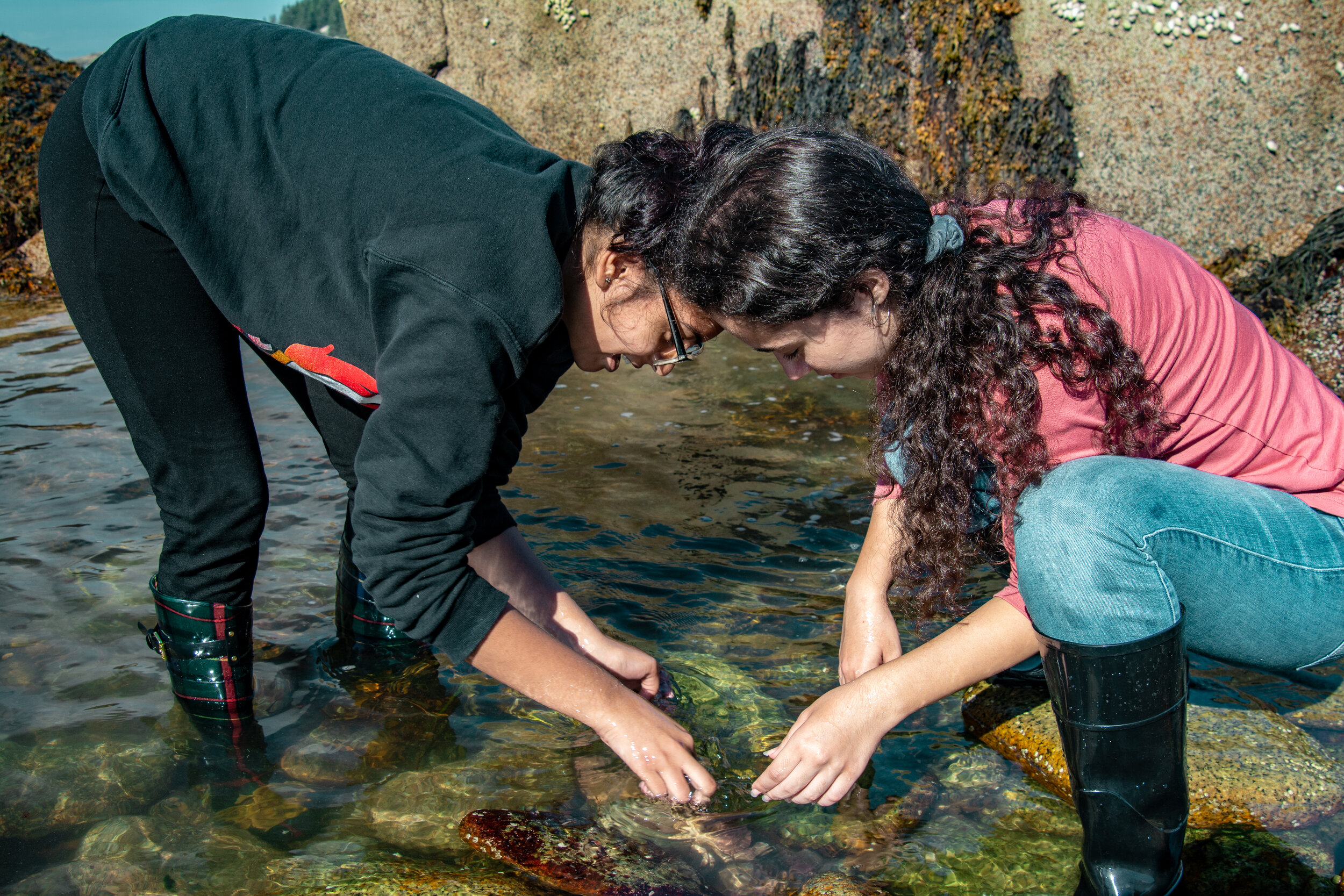 girls intertidal copy.jpg