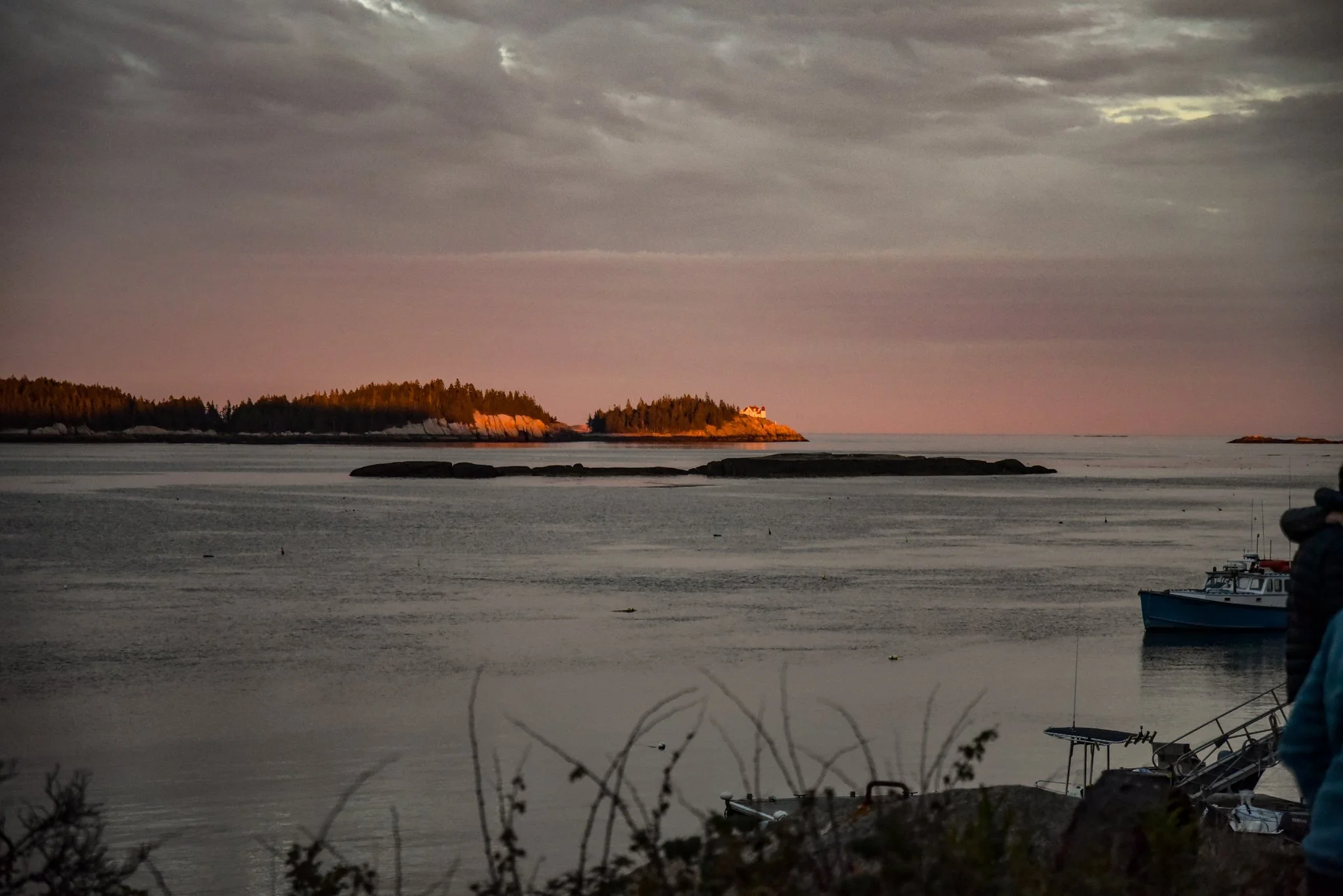 DSC_0168.jpg