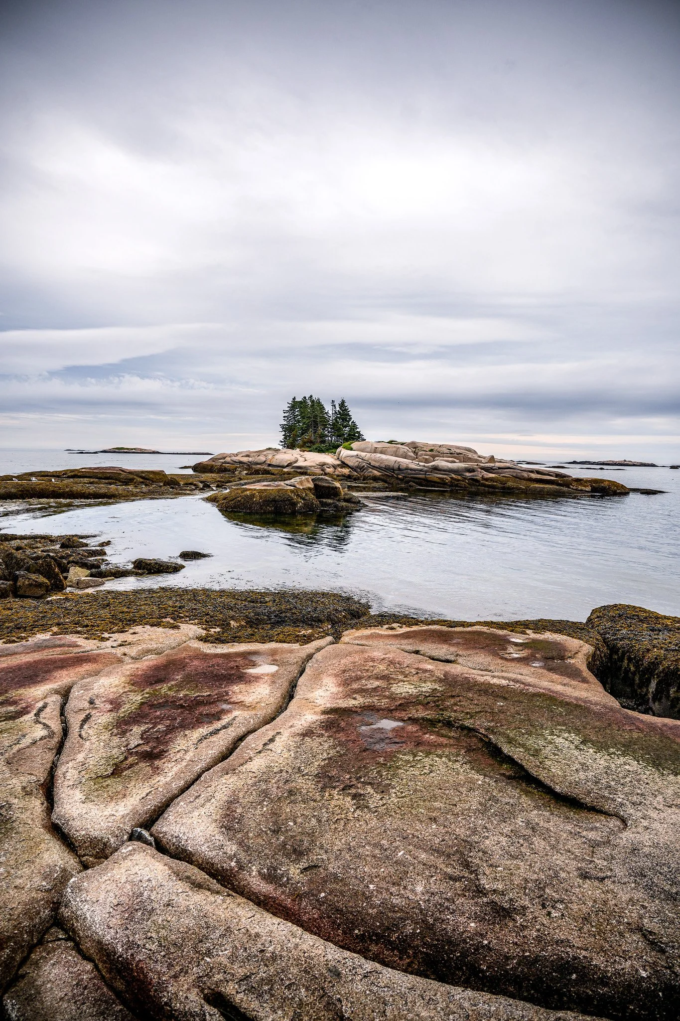 Megan Moroney — Hurricane Island Center for Science and Leadership