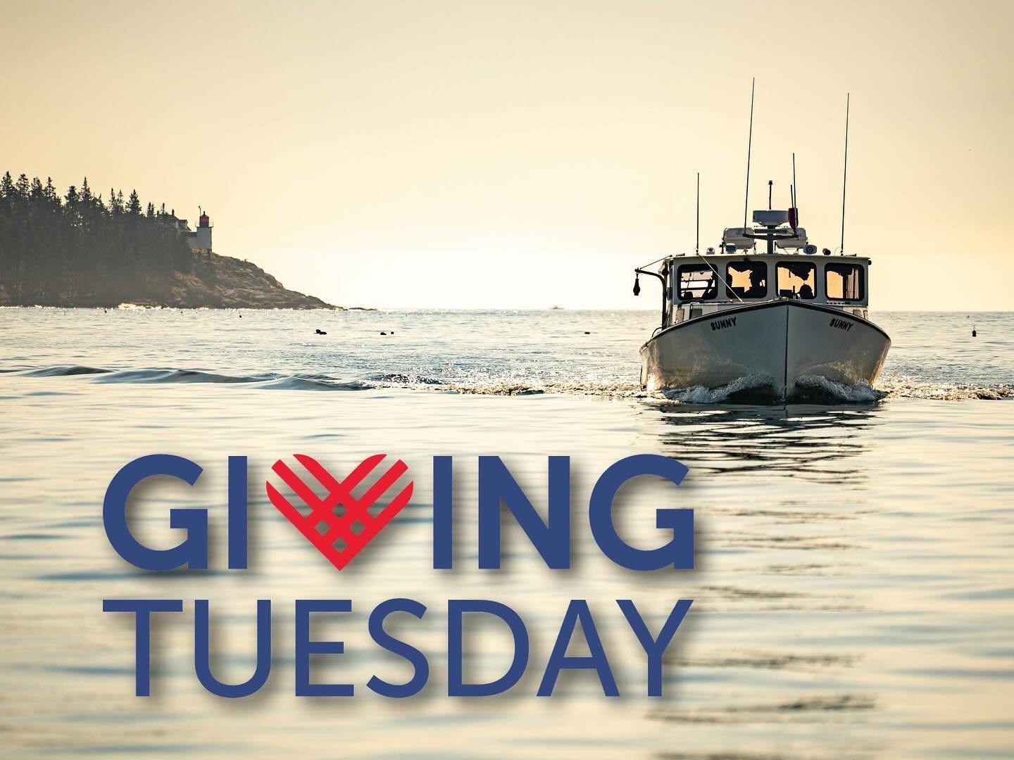 To the volunteers, families, students, staff, and supporters - thank you all of your support on this #GivingTuesday and every day! 

Your time, passion, and interest are among the greatest contributions to our impactful work integrating science and e