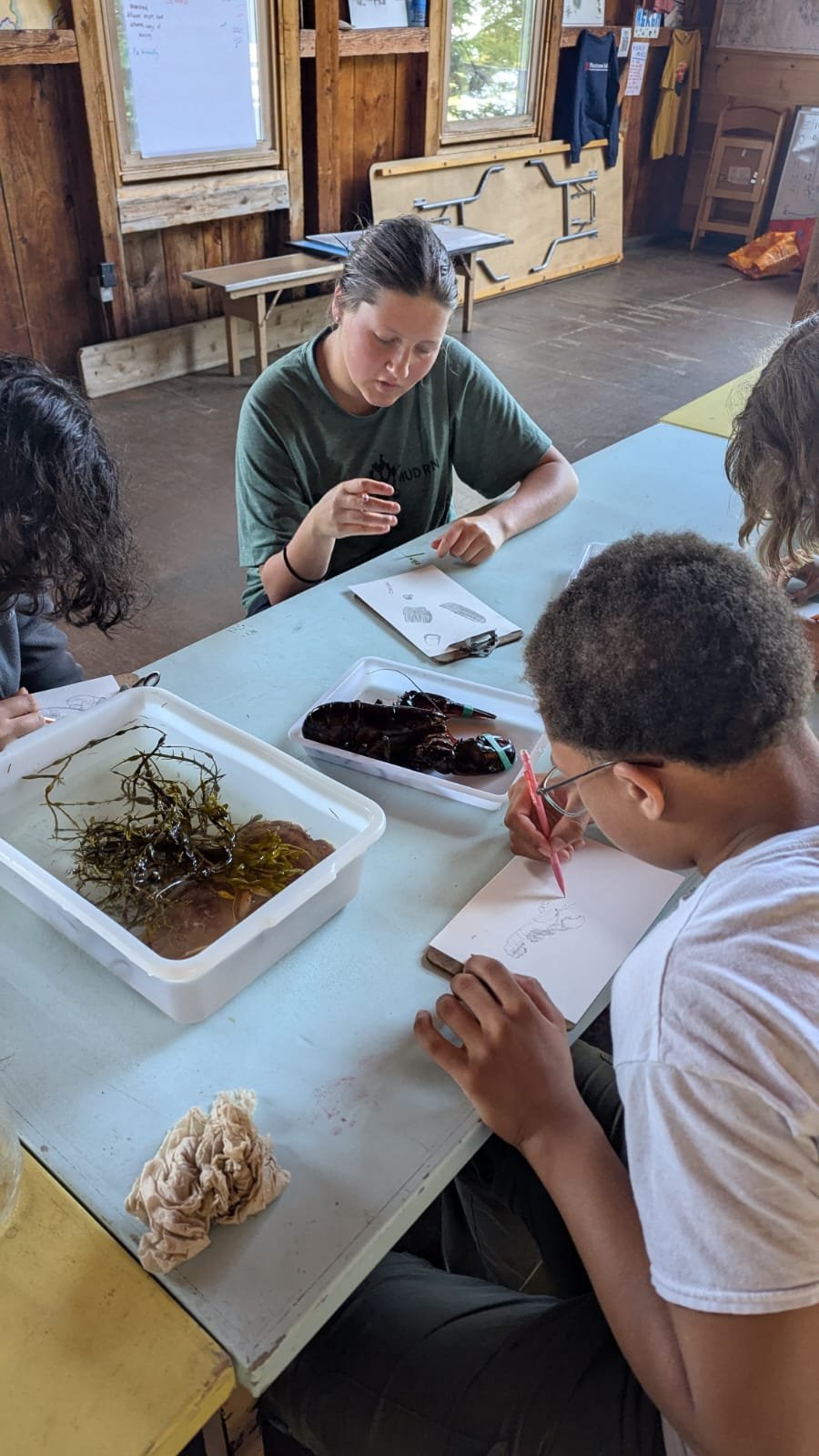 Ocean Lab - Surrounded by Science — Hurricane Island Center for Science ...