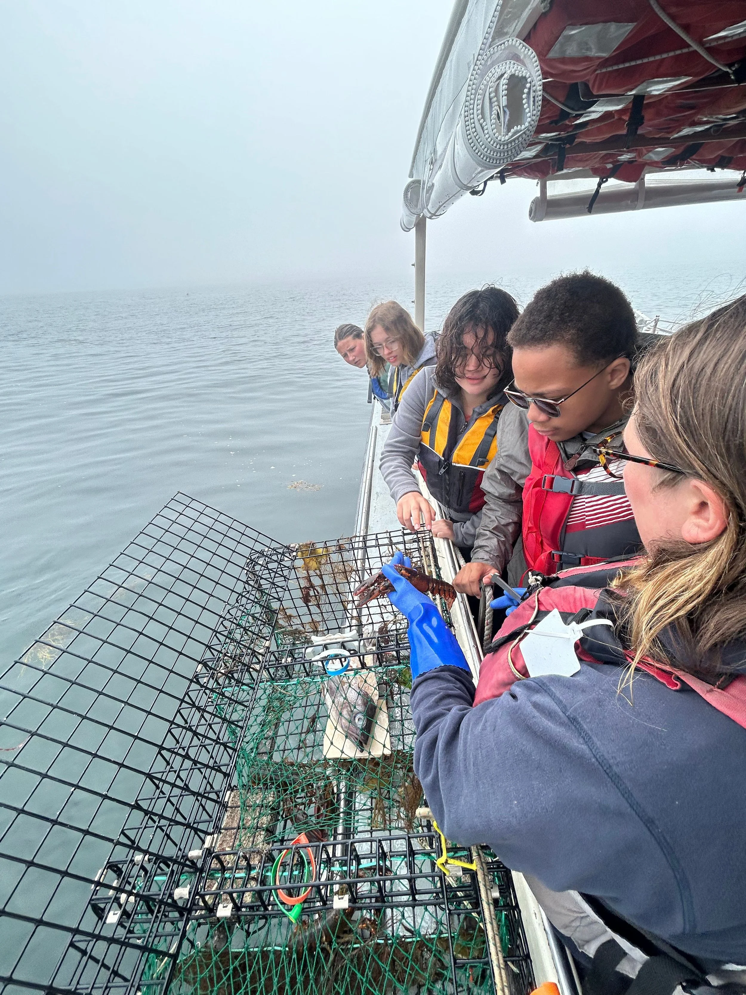 Ocean Lab - Surrounded by Science — Hurricane Island Center for Science ...