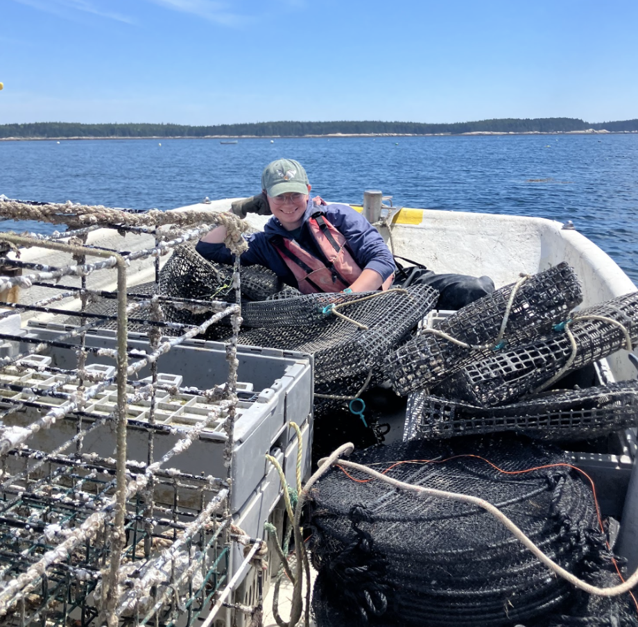 Letters from Hurricane Island: Cyprus Whitaker, 2026 Aqueous Fellow