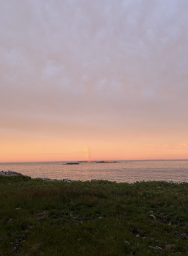 Letters from Hurricane Island: Kate Murphy, 2026 Aqueous Fellow