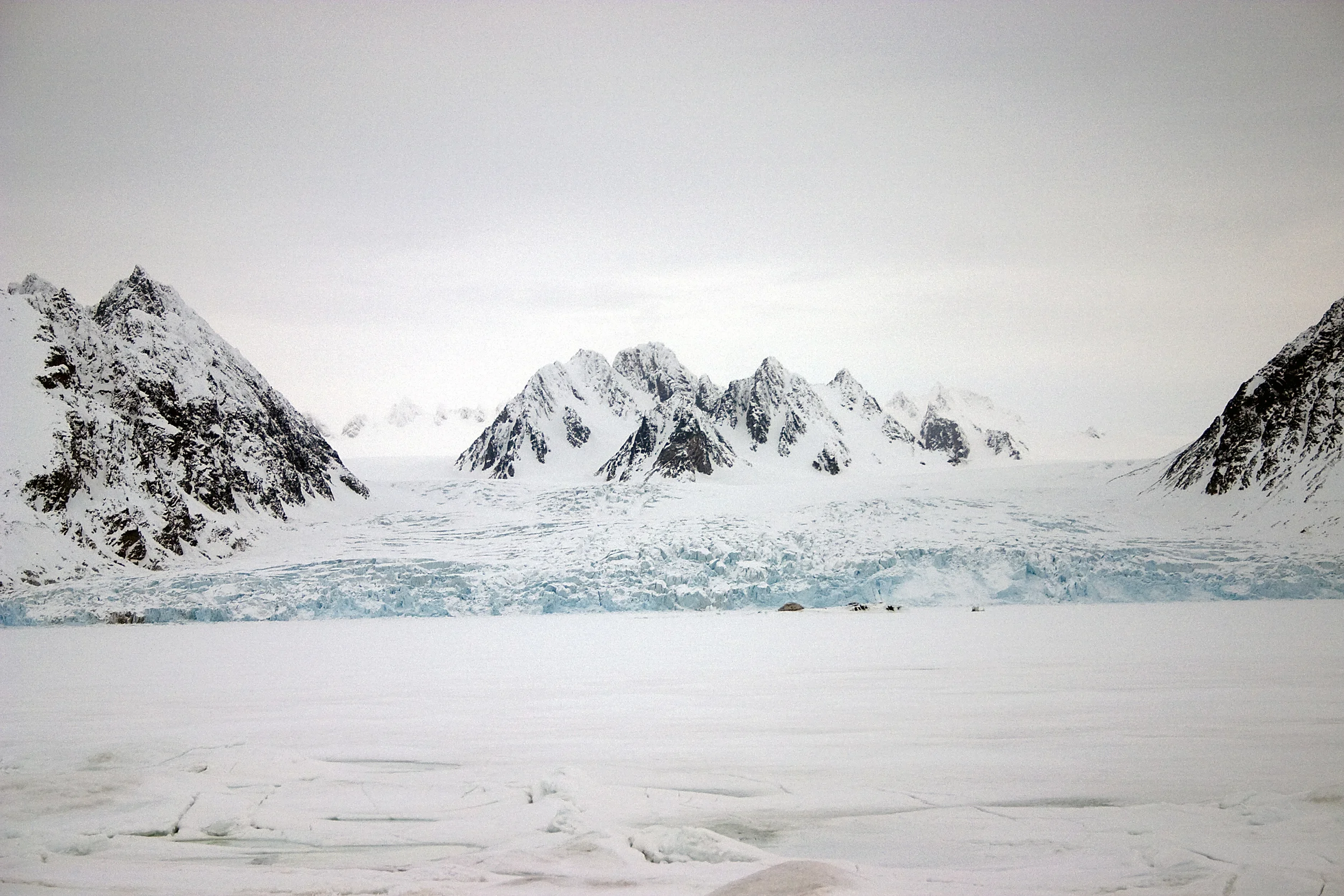 Brear er sensitive indikatorar på klimaendringar. Foto: Trygve Snøtun.