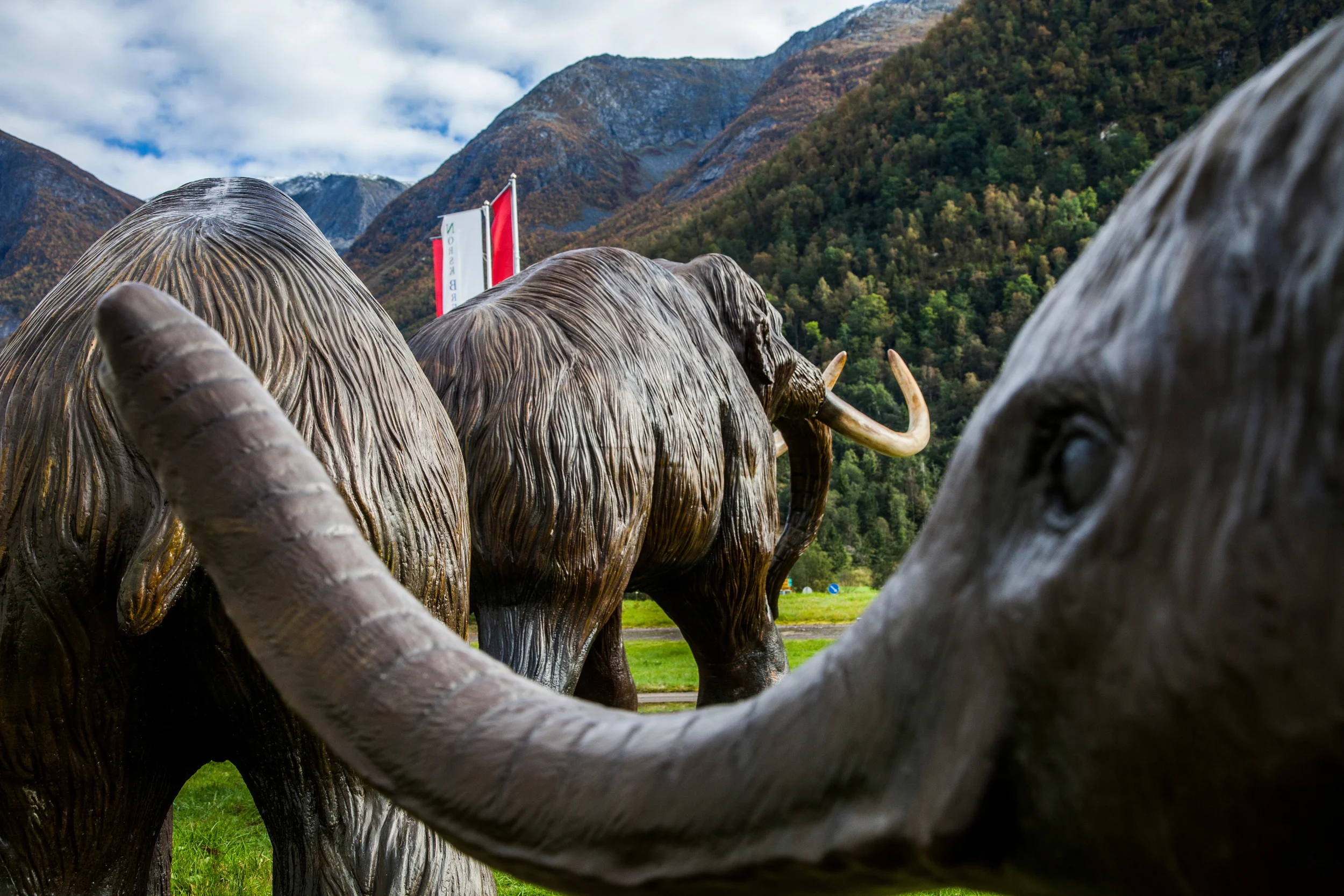 Mammutane utanfor Norsk Bremuseum