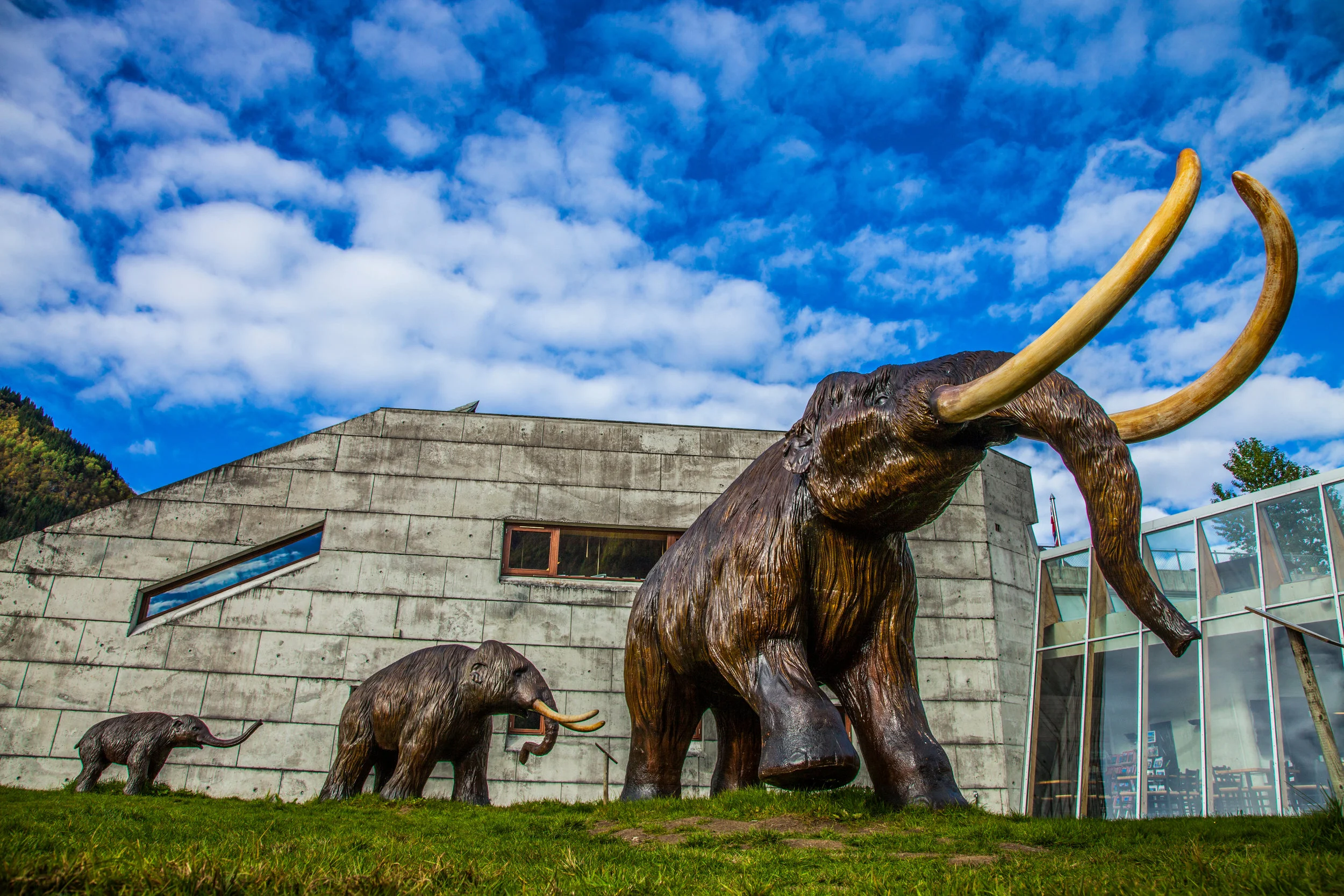 Une famille de mammouths laineux