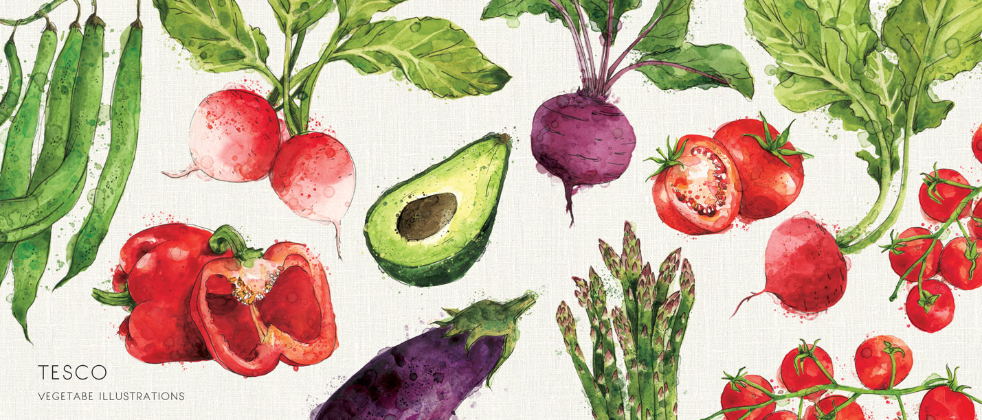 WATERCOLOUR-ILLUSTRATION-VEGETABLE-SAMARA HARDY.jpg