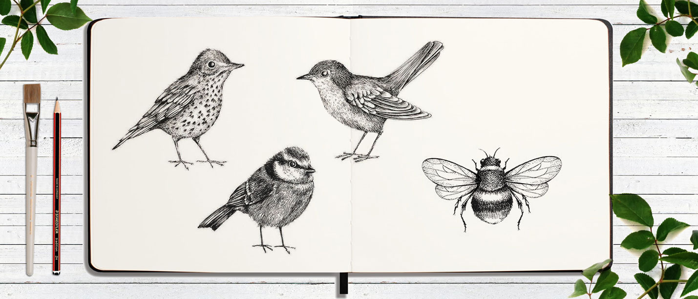 BIRD-BEE-sketchbook-SAMARA HARDY.jpg