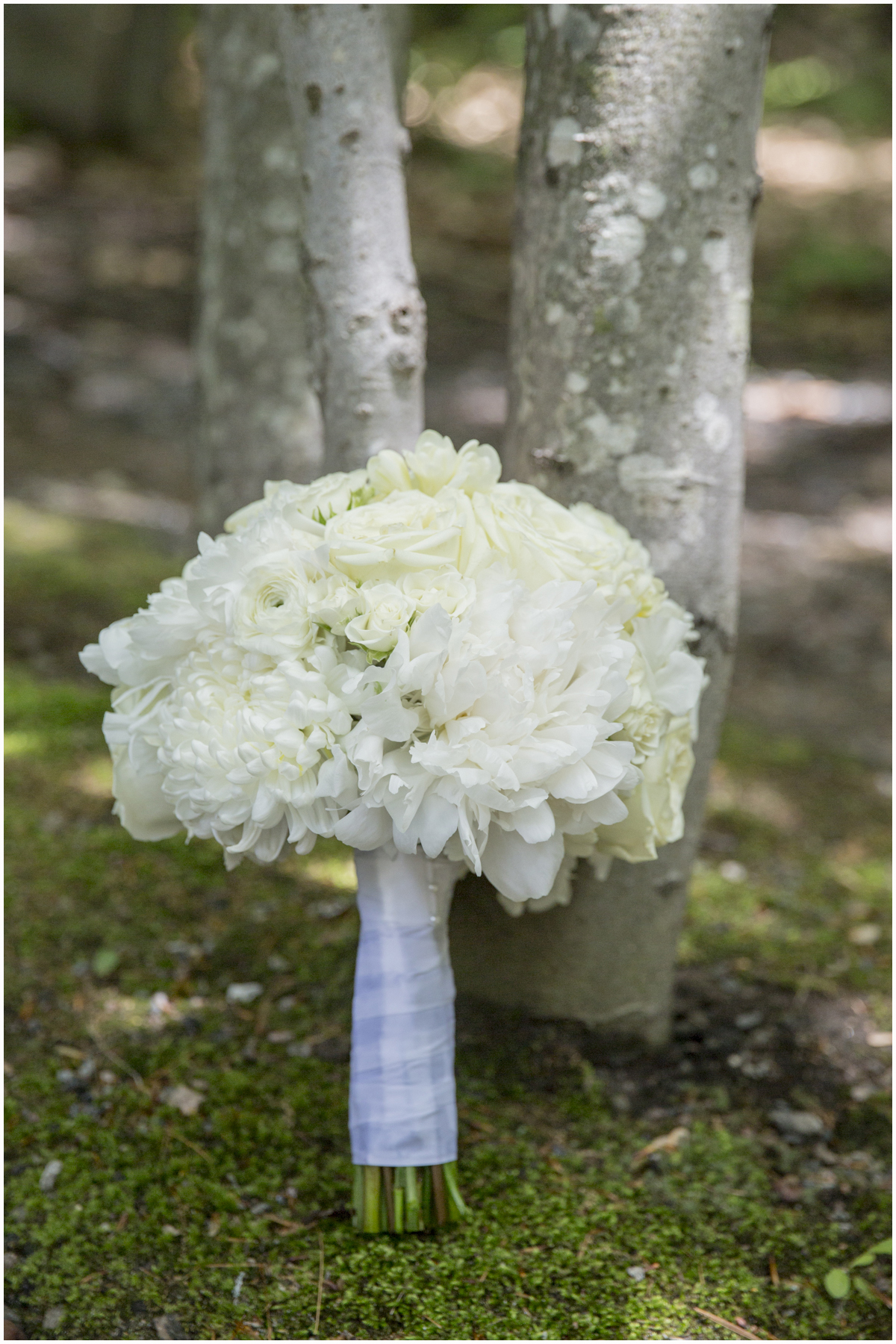 Muskoka Wedding 002.jpg