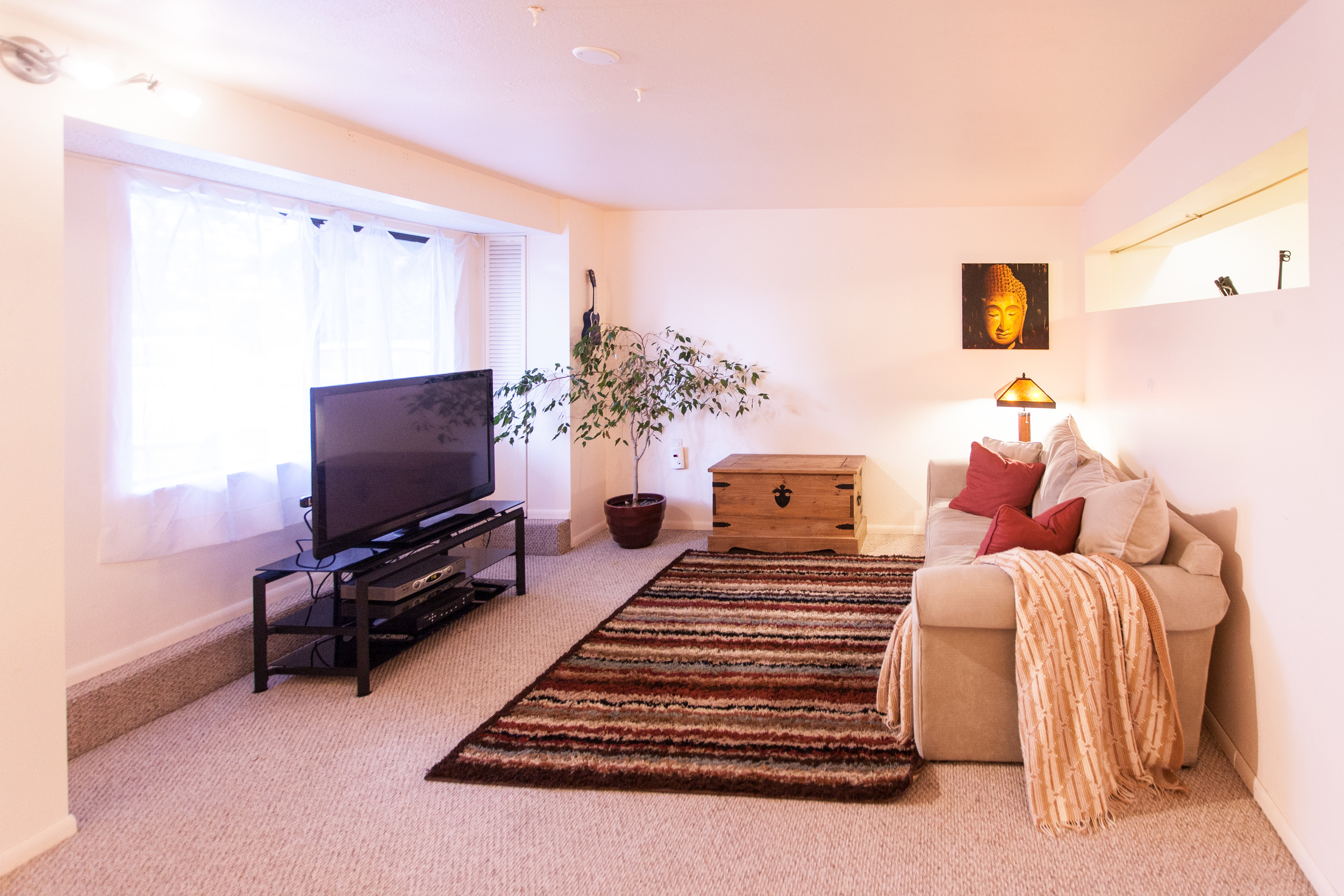 Lower Level Living Room