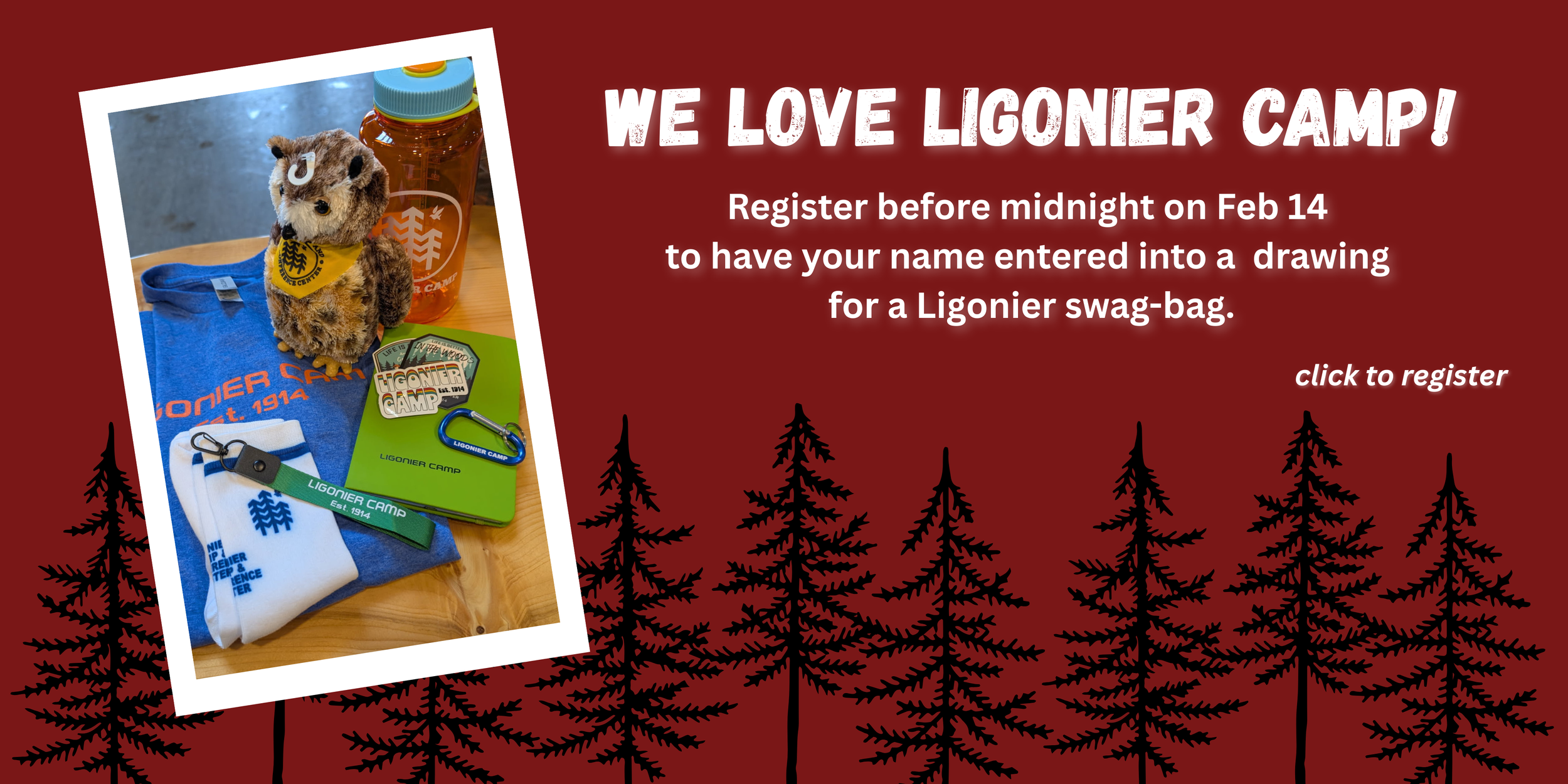 Copy of early bird deadline '26.png