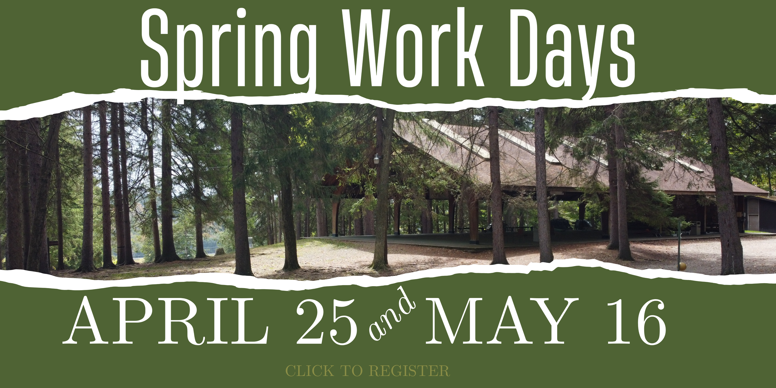 HOME PAGE Web banners.png