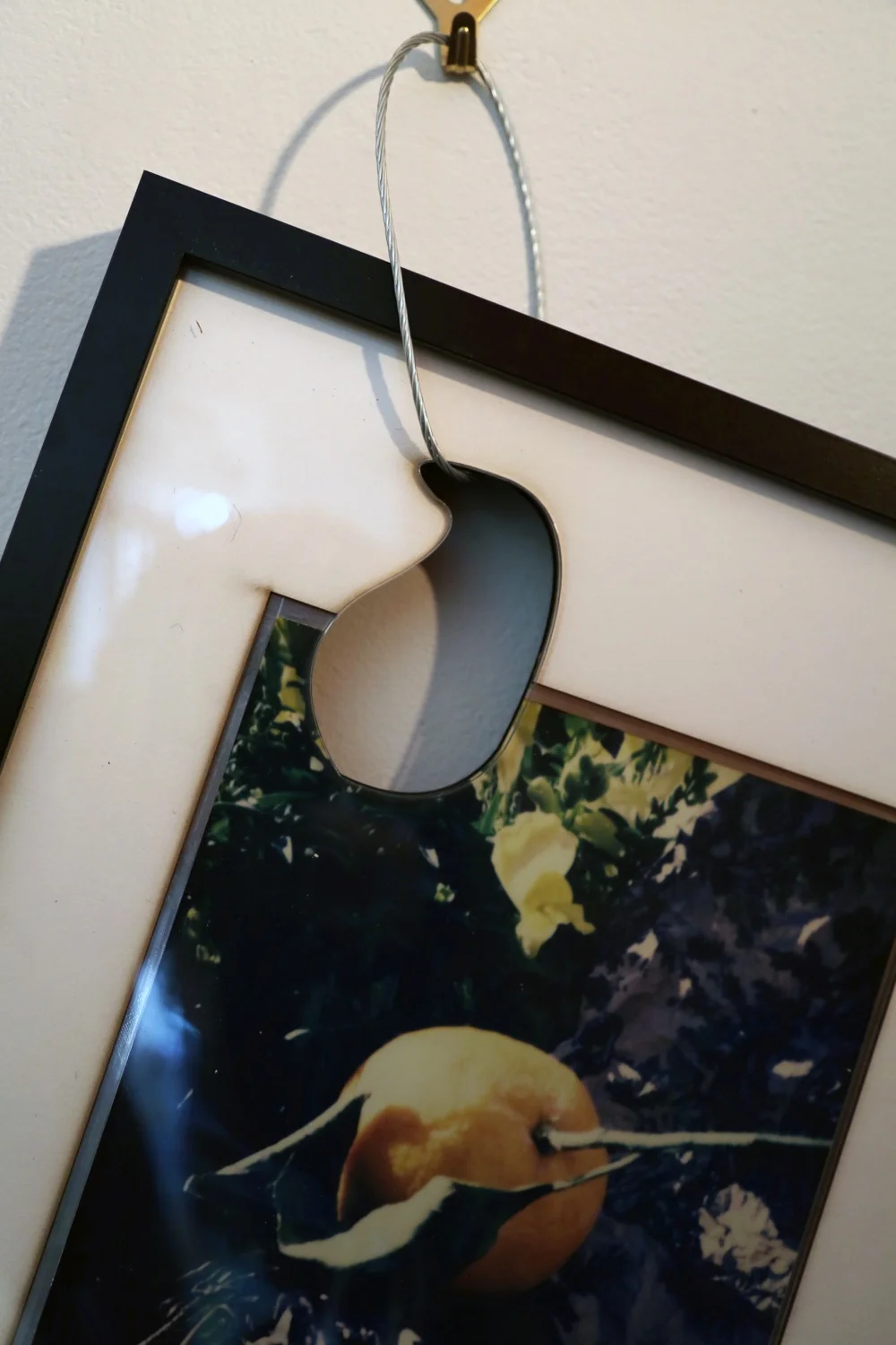The Photographs, Detail