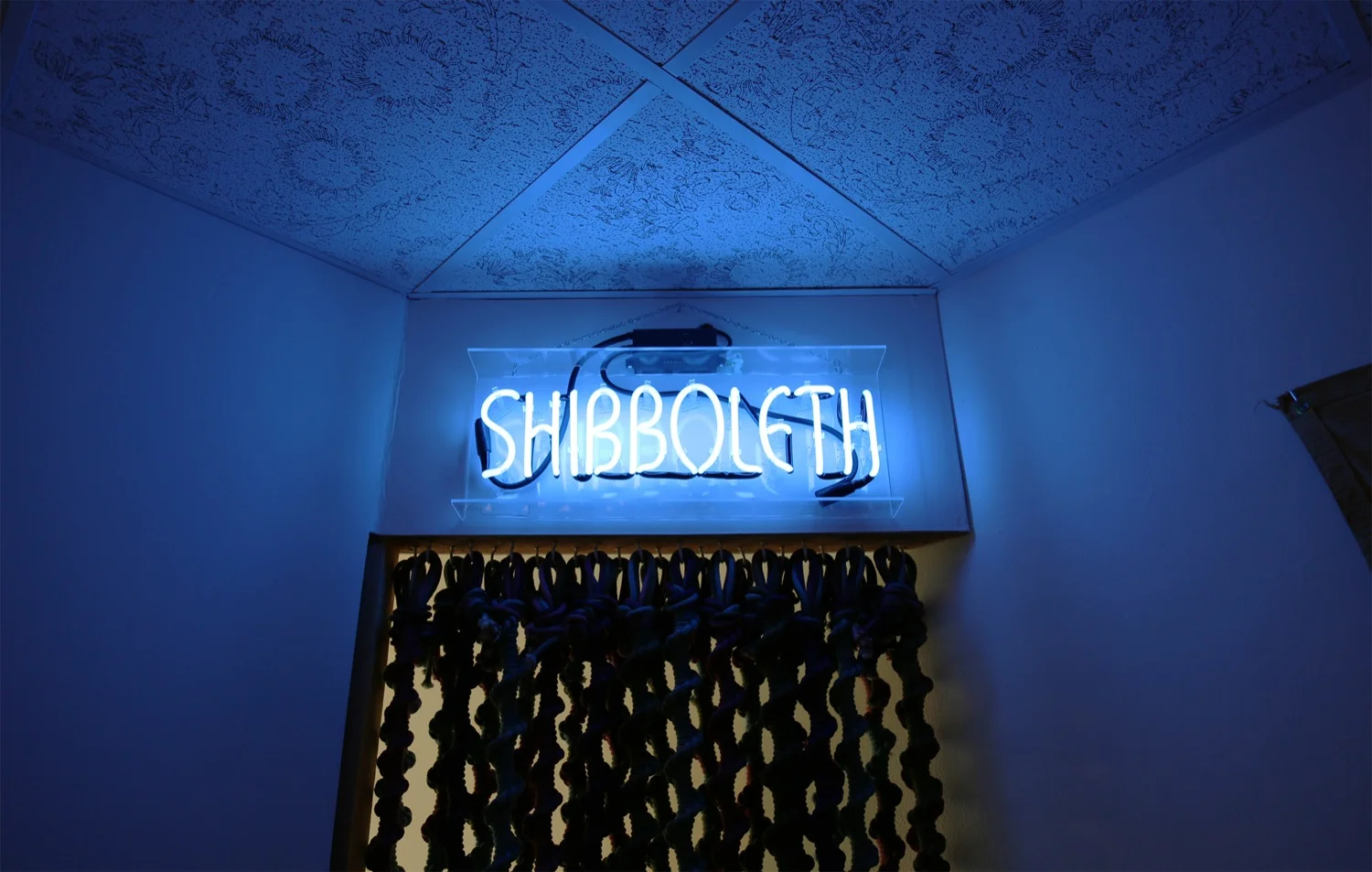 Shibboleth Neon