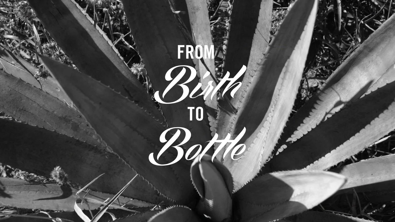 ARTA Tequila Brand Video :60