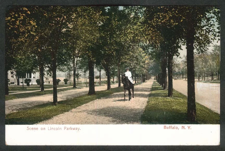 The Olmsted designed Lincoln Parkway in Buffalo was planned with a multi-use, protected trail for people walking, biking, or riding.