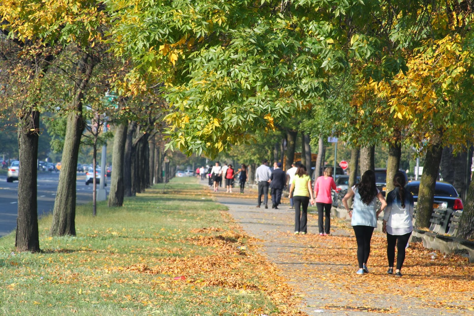 Brooklyn's Ocean Parkway retains bicycle and walking paths today.
