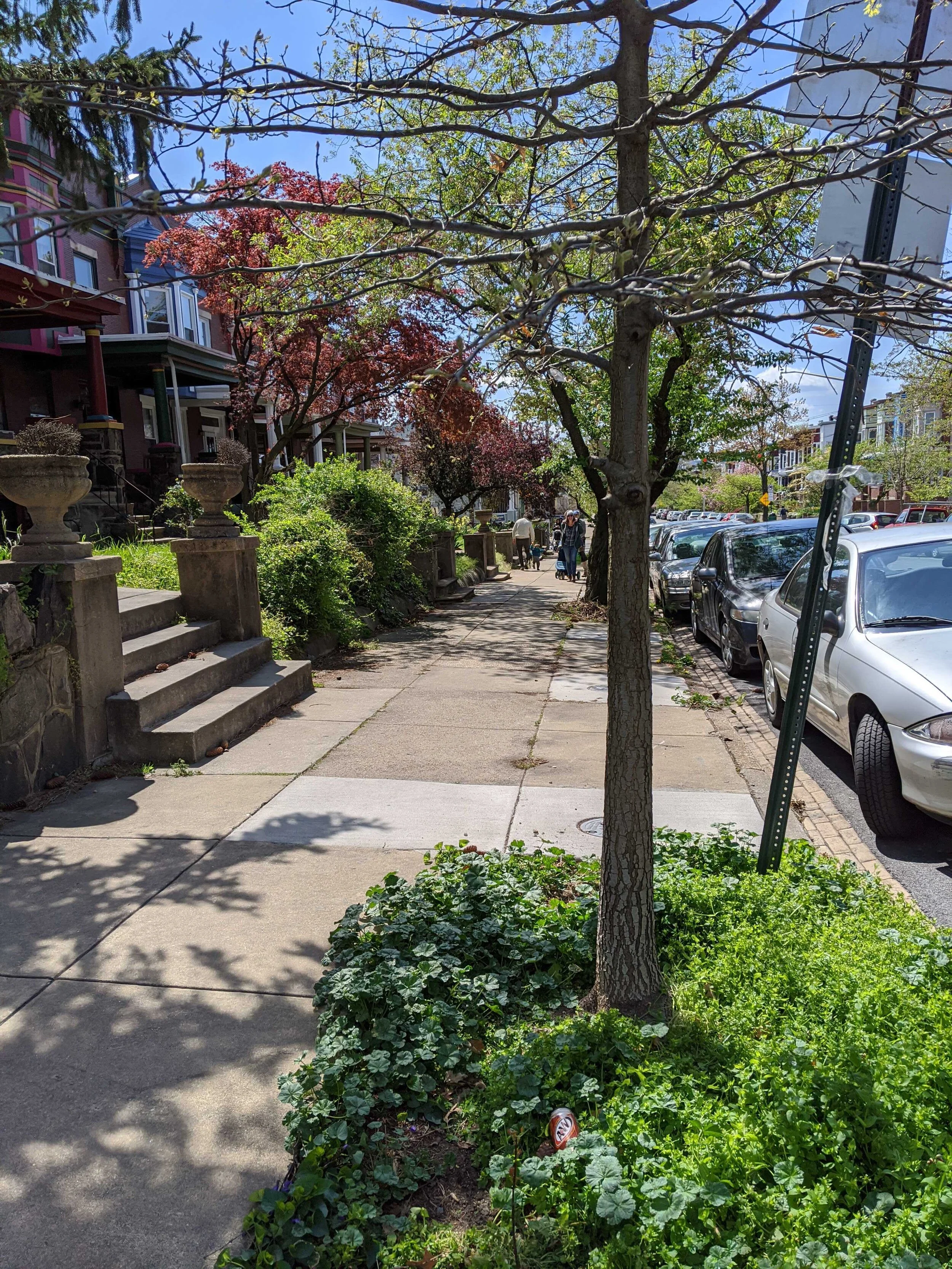 Weekly Update: Scooter Ridership + Biking FAQS