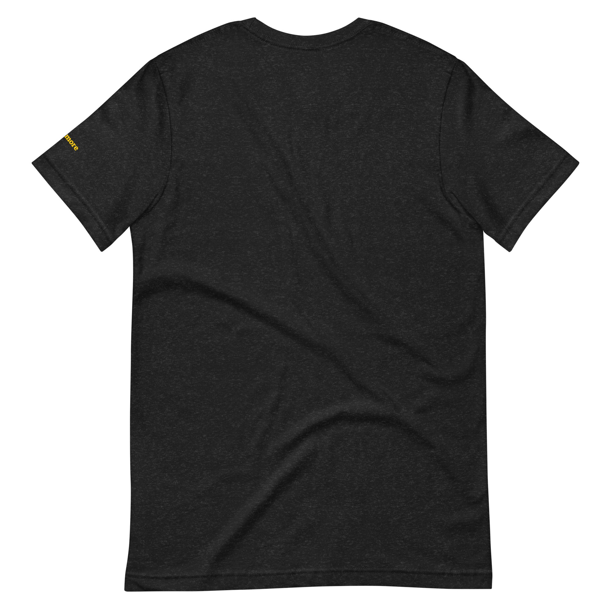 unisex-staple-t-shirt-black-heather-back-6605d3899adad.png