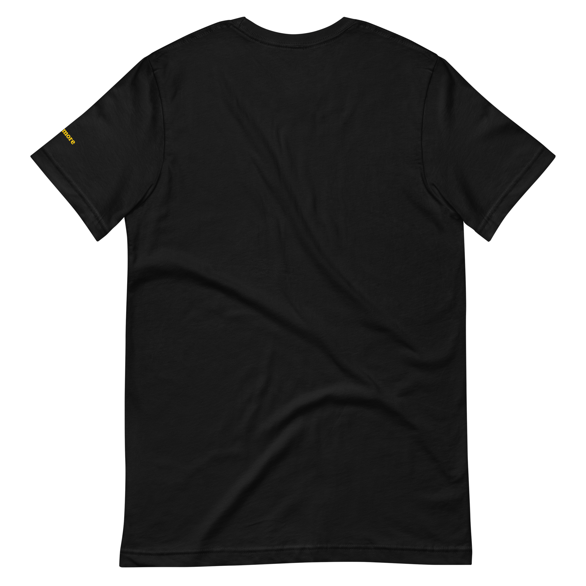 unisex-staple-t-shirt-black-back-6605d3899c344.png