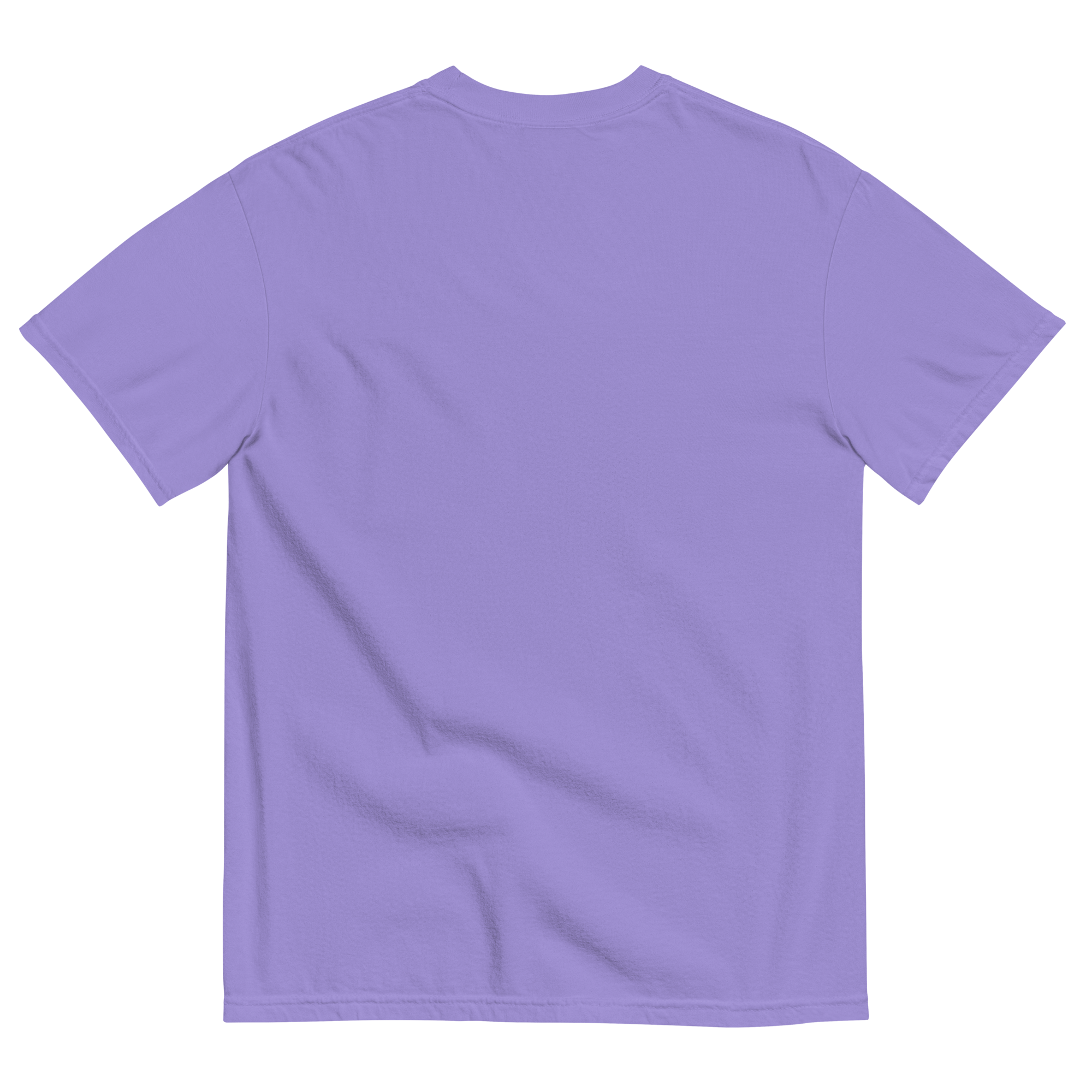 unisex-garment-dyed-heavyweight-t-shirt-violet-back-6a18712ca1324.png