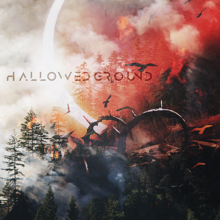 HallowedGround14.jpg