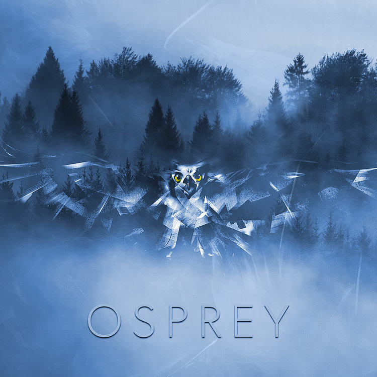 OSPREY_Finals.jpg
