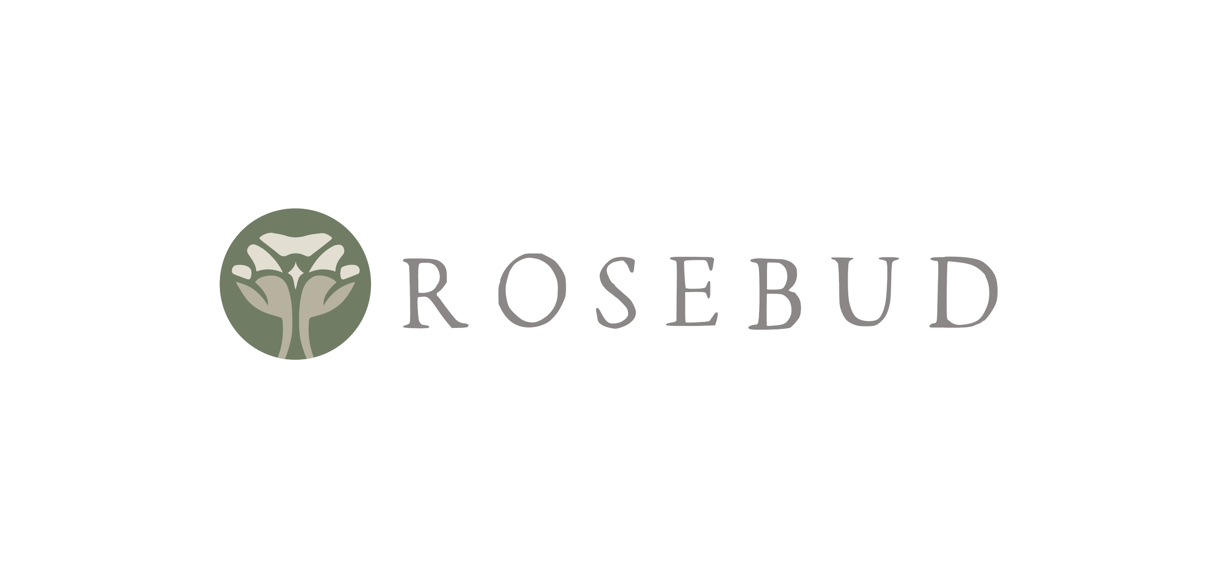 Website image.png