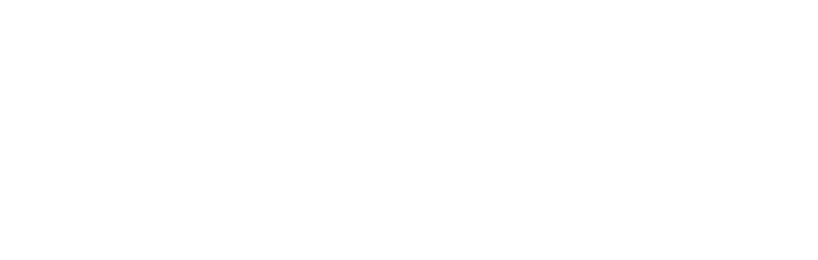 IN_DUAL.png