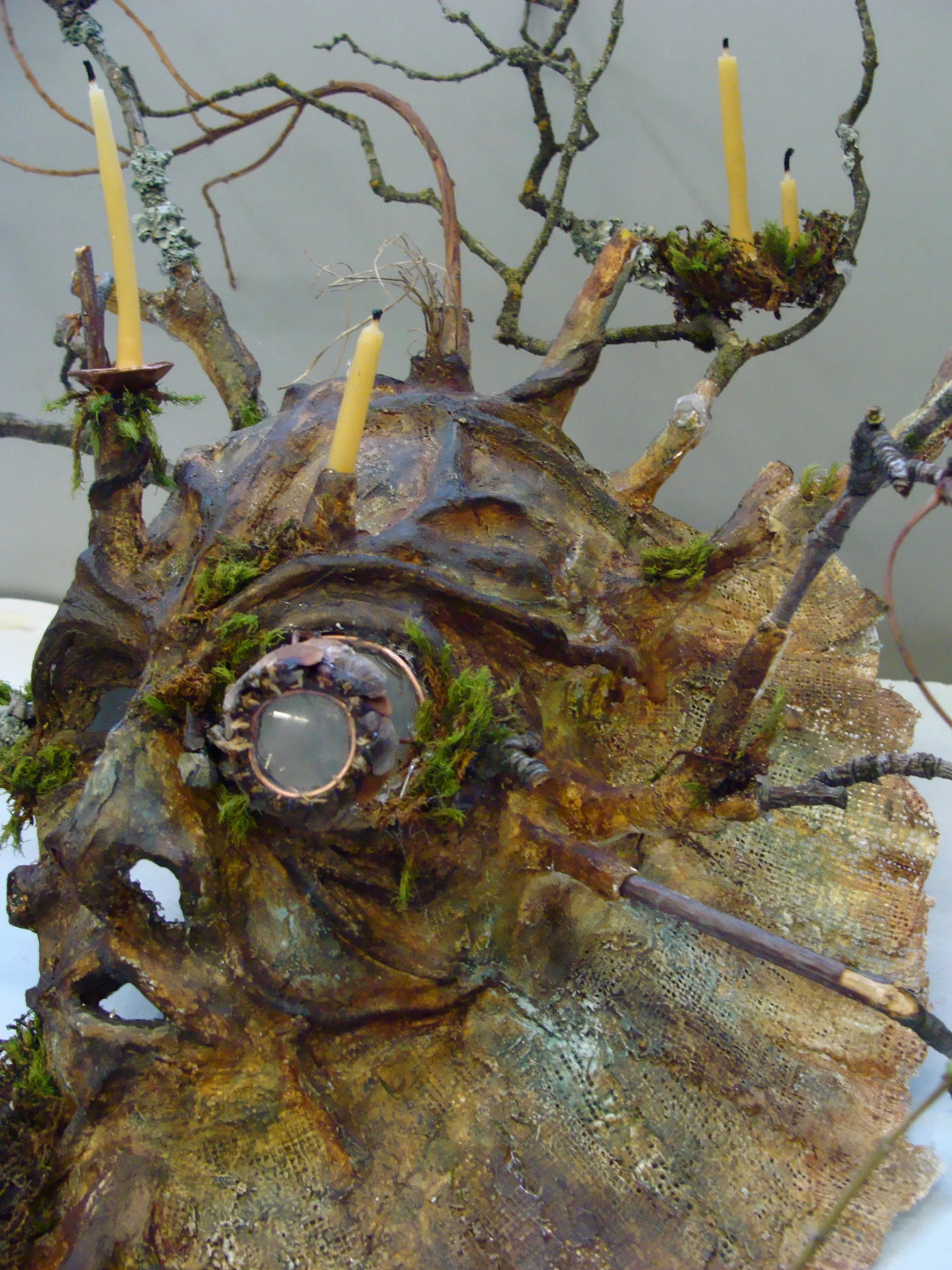 A Friend From The Forest