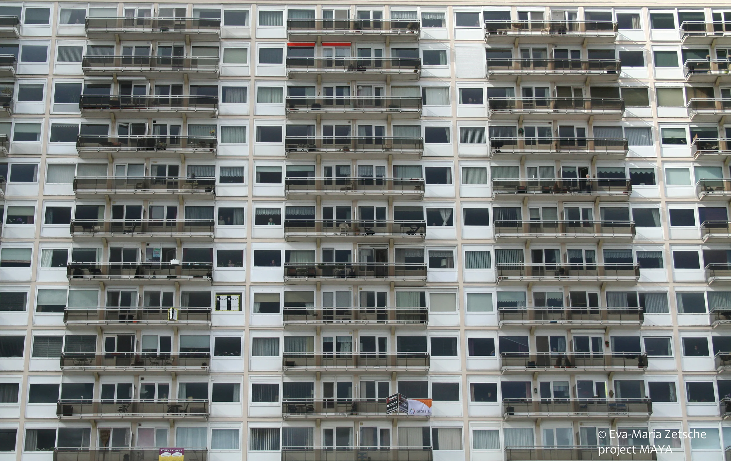 Housing at Height.jpg