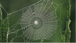 0
0
1
5
32
Project Maya
1
1
36
14.0
 
 

 

 
Normal
0




false
false
false

EN-US
JA
X-NONE

 
 
 
 
 
 
 
 
 
 


 
 
 
 
 
 
 
 
 
 
 


 <w:LatentStyles DefLockedState="false" DefUnhideWhenUsed="true"
DefSemiHidden="true" DefQFormat="false" …