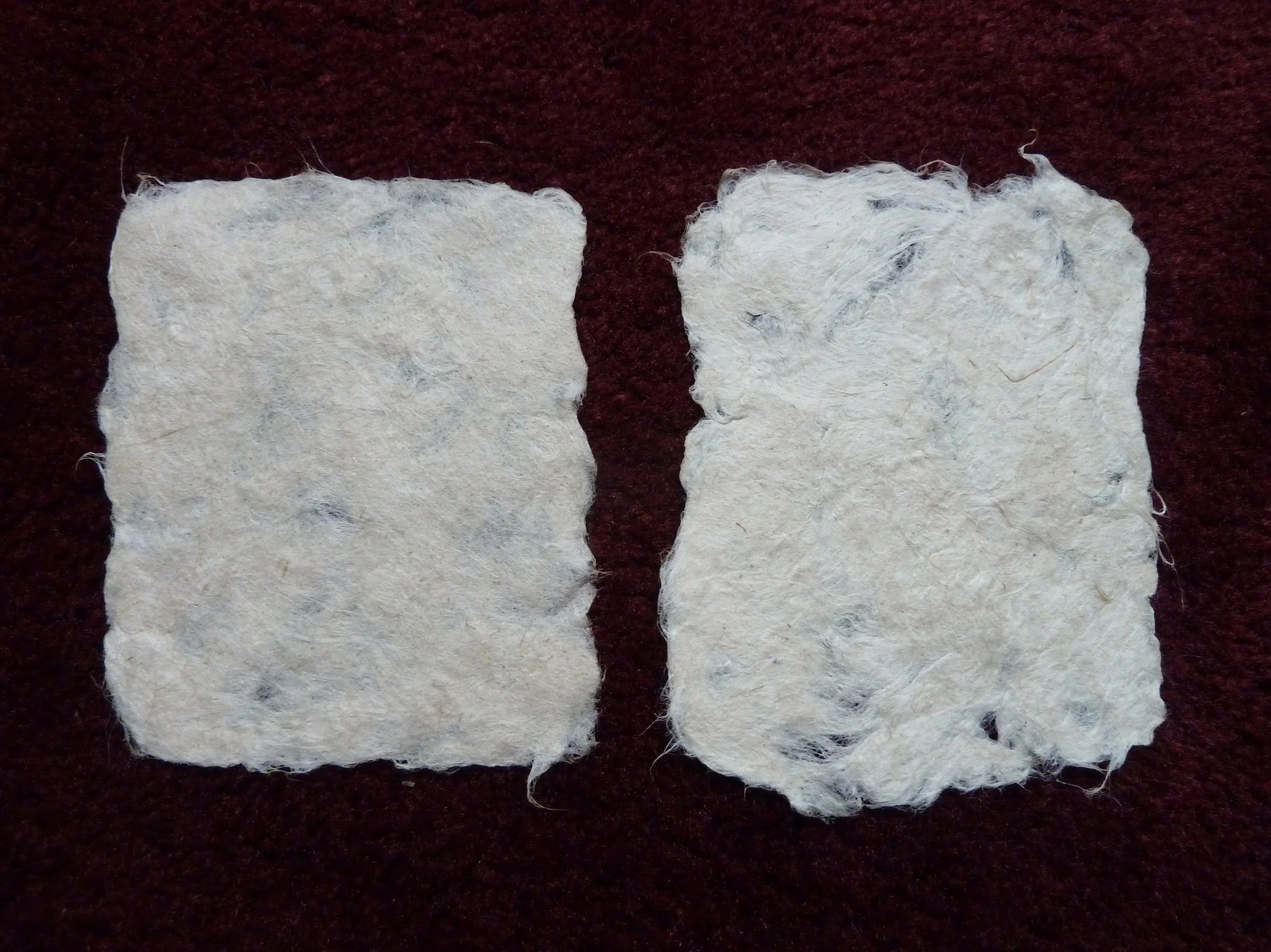 7 - Trials of flax paper.jpg