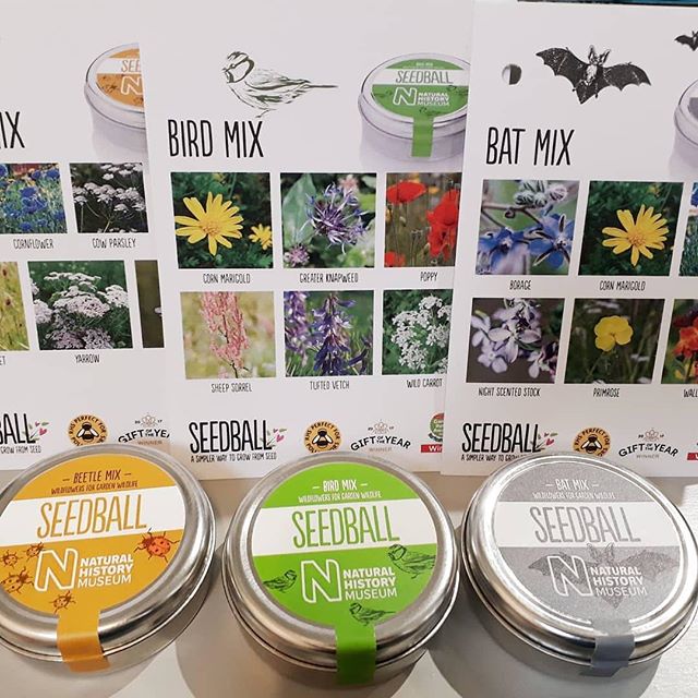 😁🌱 RepostBy @kirkharlecoffeehouse: "I'd like to declare #Spring officially open!
We've seen the sun and the new delivery of @seed_ball have arrived. New for this year in collaboration with the #NaturalHistoryMuseum we have new bird, beetle and bat friendly varieties. If you're like me - far too overworked to make it to the garden and more to the point, the green finger challenged type, they couldn't have made it simpler. Just scatter!
#perfectgift #greenfingers #seeds #garden #planting #sunshine #birds #bats #beetles #butterflies #bees" (via #InstaRepost @AppsKottage)