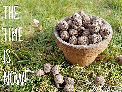 Were you out scattering seed balls this weekend?
.
.
The time is now!! ⏰
.
.
We've put together a quick starter guide for growing wildflowers from seed balls! Check it out on our blog (website in bio)!
.
.
#seedballs
#wildflower
#wildflowers
#gardening
#timetogrow
#alarm
#now
#flowers
#growyourown
#garden
#wildlifegarden
#wildflowers4wildlife
#wildflowerwarriors