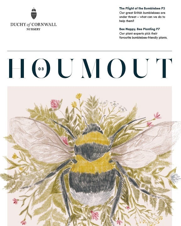 We're in @duchynursery magazine! .
.
You can read the article (and many more) via their website 😁
.
.
#seedballs
#wildflower
#wildflowers
#gardening
#timetogrow
#flowers
#growyourown
#garden
#wildlifegarden
#wildflowers4wildlife
#wildflowerwarriors
#duchy
#duchynursery