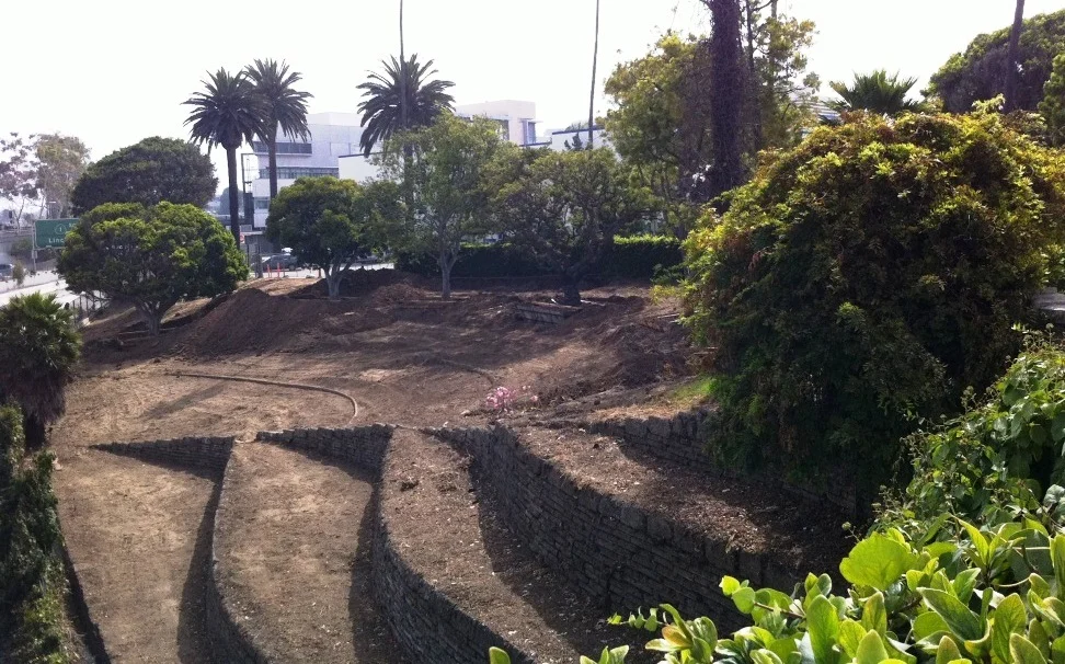 As part of the project, the ivy-covered slope between City Hall and the freeway was cleared out, revealing neat terracing