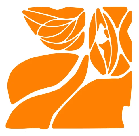 CCP-Tongva-OrangeGraphic.jpg
