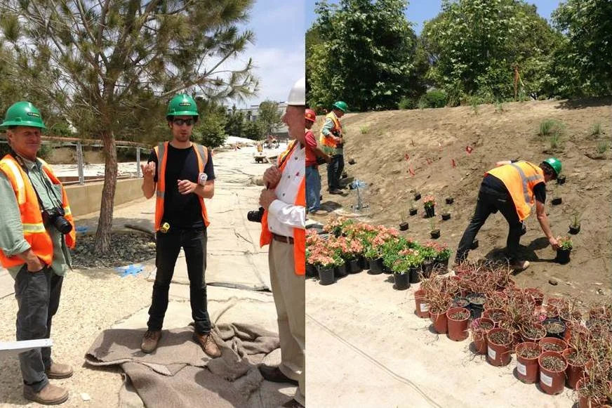 Planting1.jpg