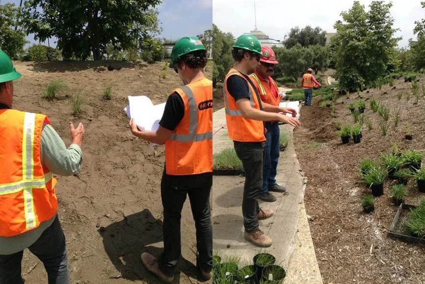planting2.jpg