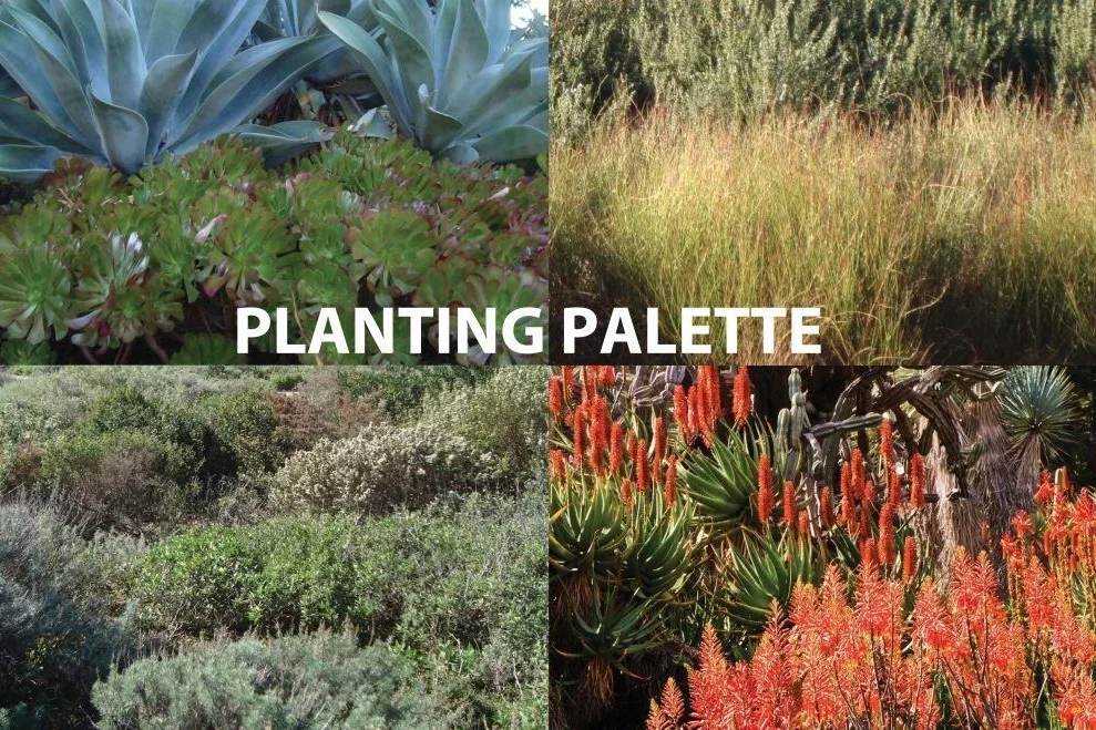 planting palette.jpg