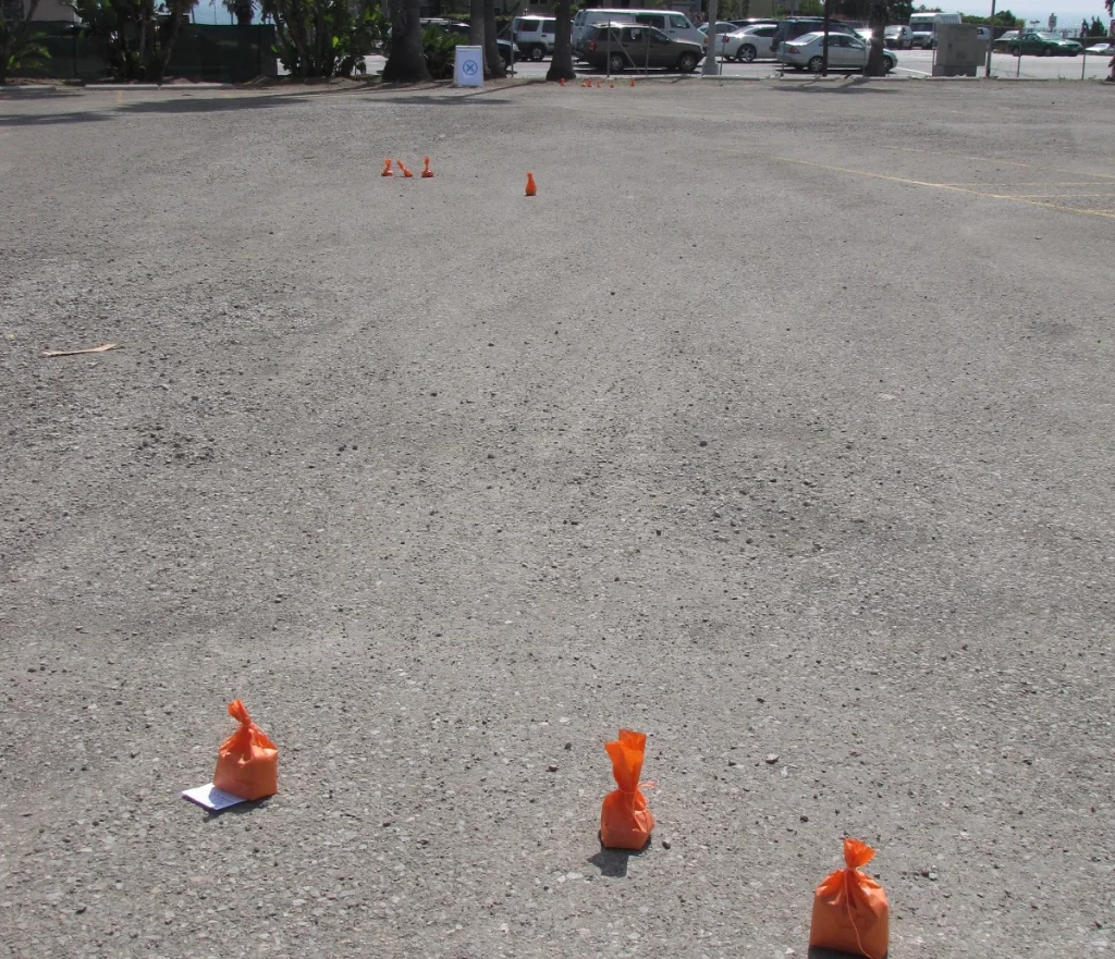 People dropped orange bags & notes to mark their favorite spots on the site