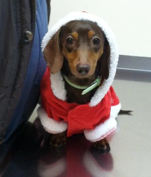 Christmas George