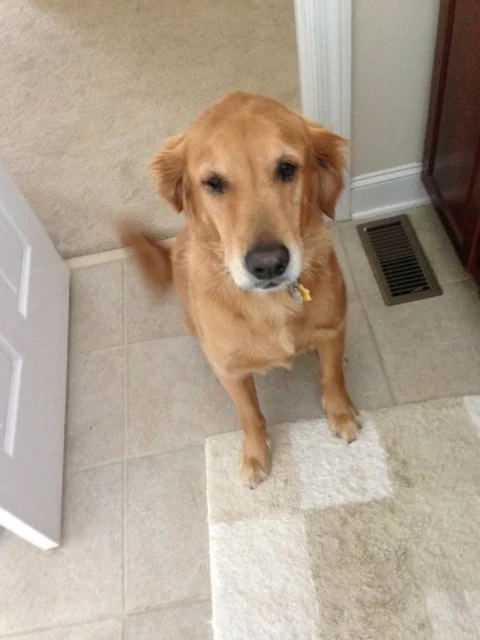 Gunner