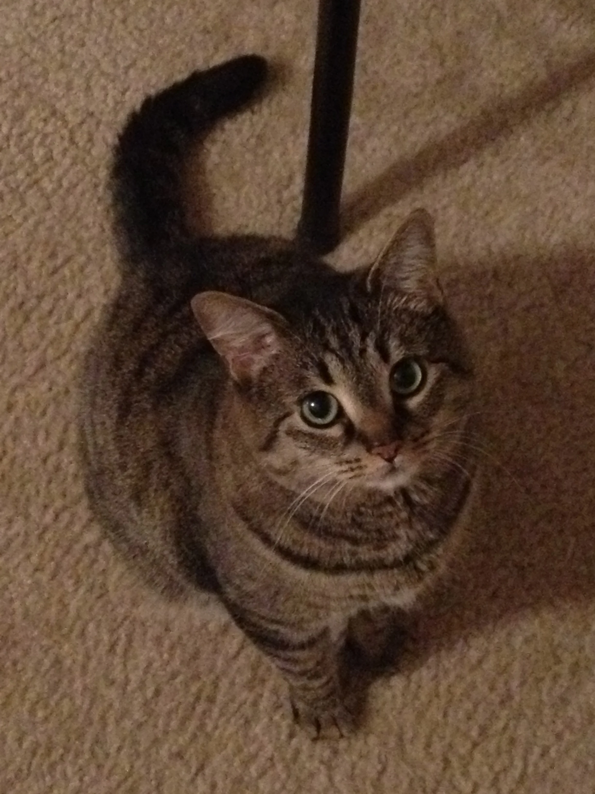 Peeper