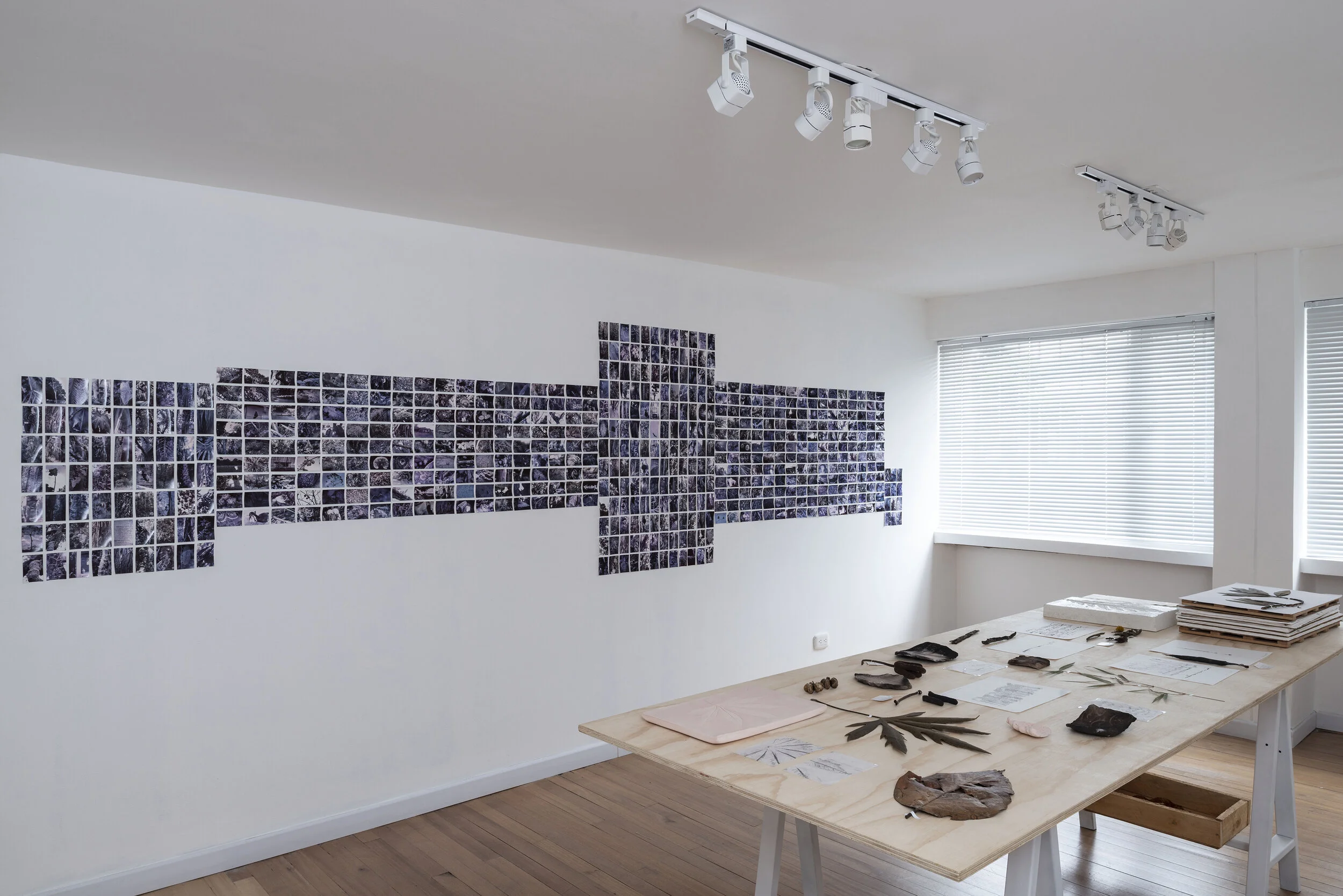  2019, Installation Polaroids, clay, cement, pressed plants, monoprints on paper. Room size 9 x 6 feet. 