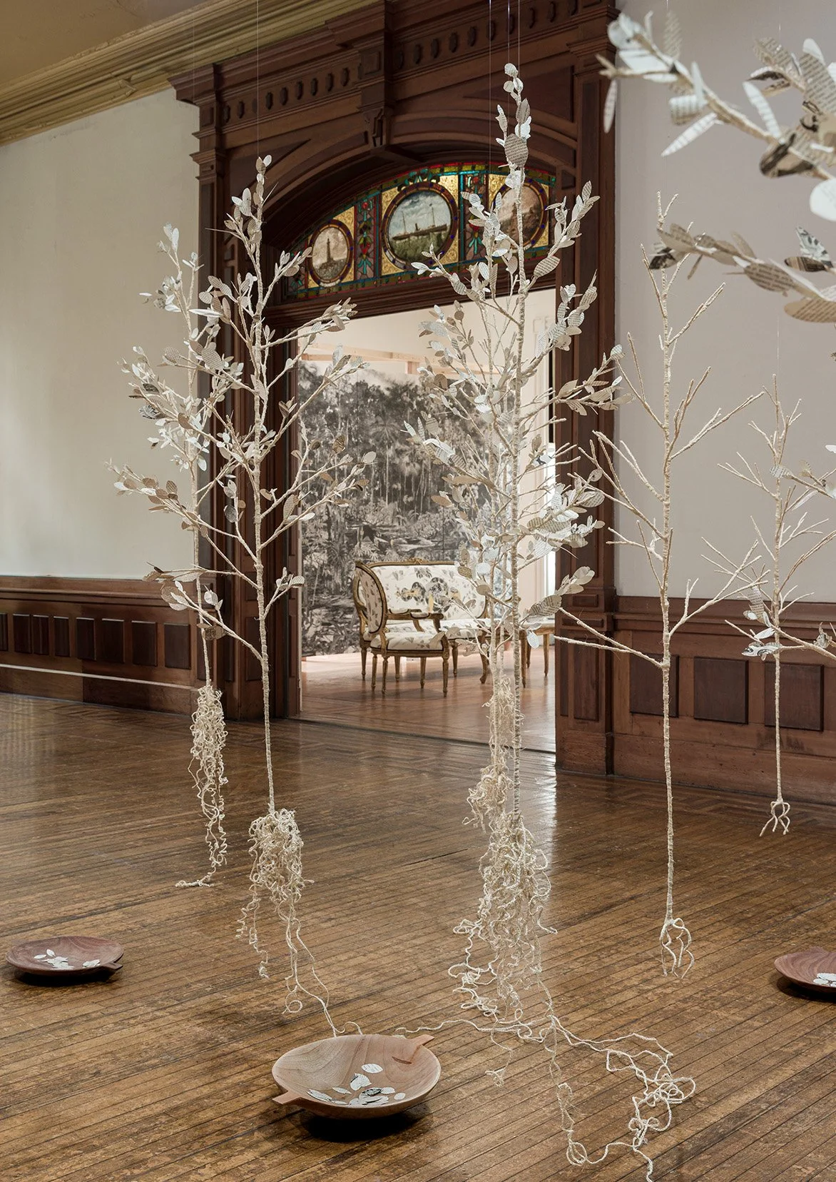 251011EFrossard_TArocha_CocaElOro_1122 copy.jpg