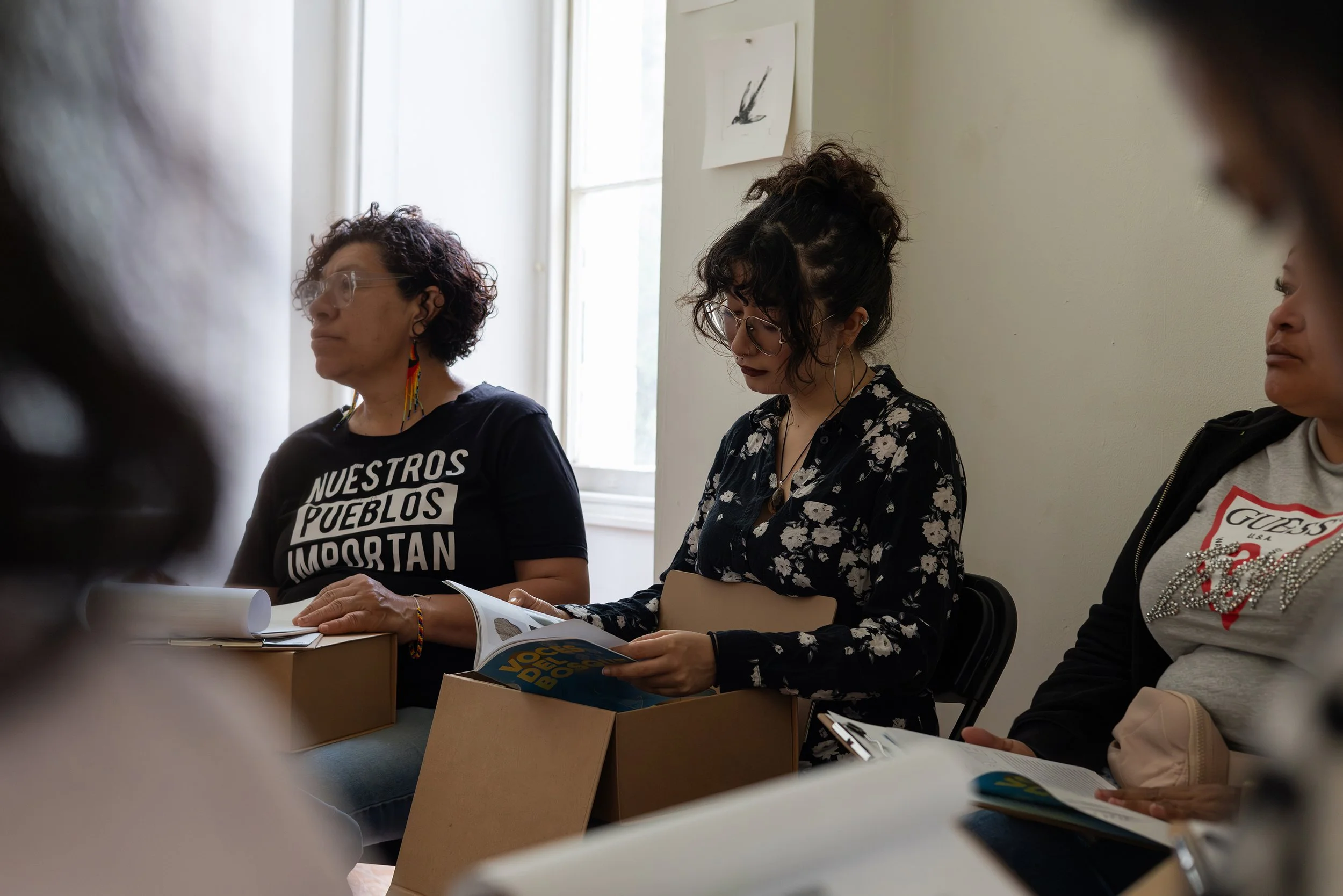 Creando vínculos a través del lente NS-3.jpg