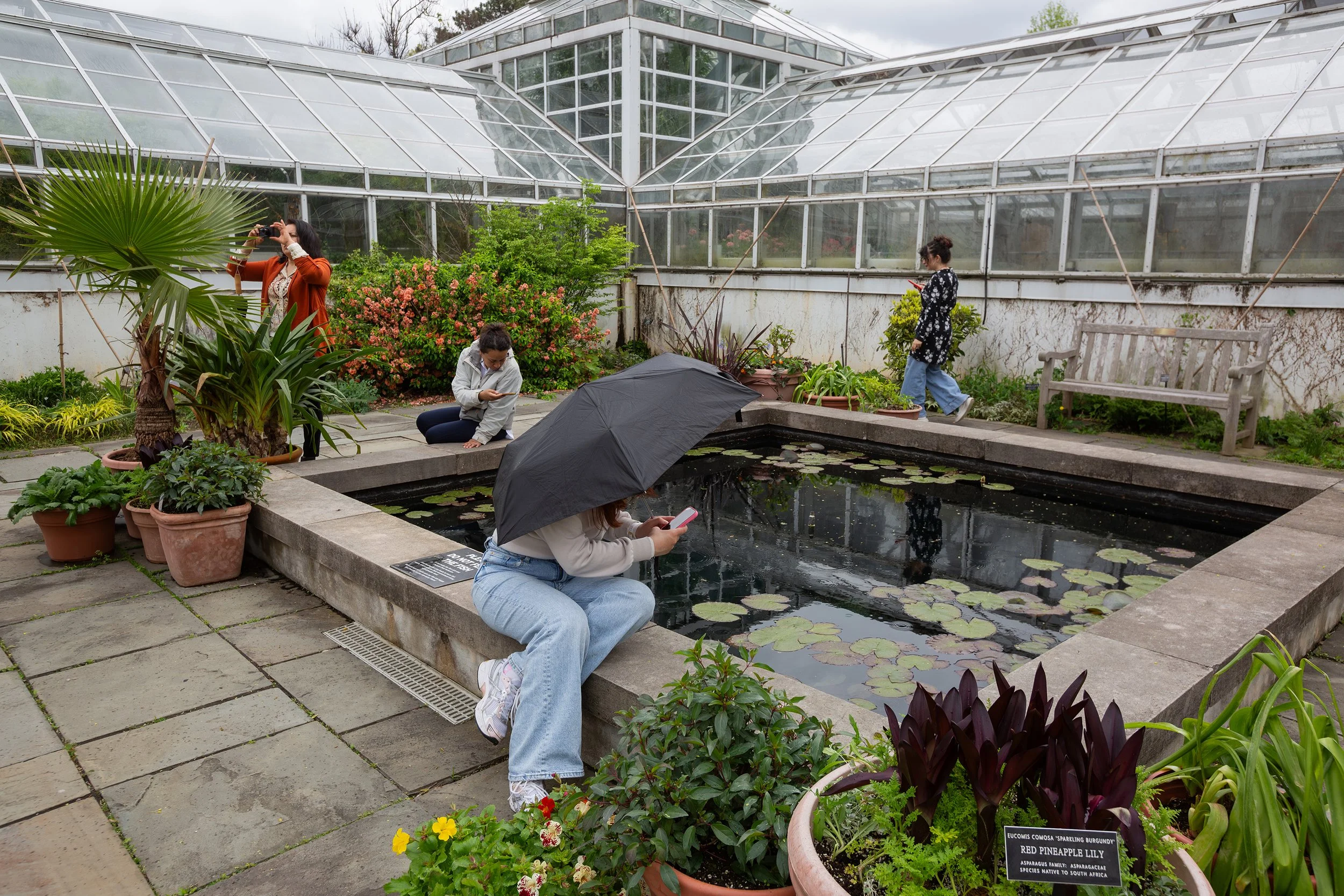 Creando vínculos a través del lente NS-36.jpg